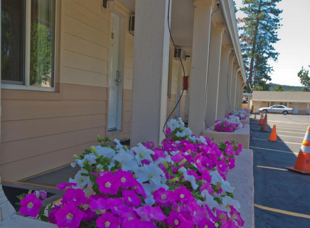 Burney Shasta Pines Motel & Suites المظهر الخارجي الصورة